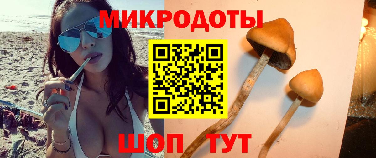 Псилоцибиновые грибы ЛСД Туймазы